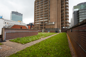 Polysync-roof-top-flowers-300x200.png